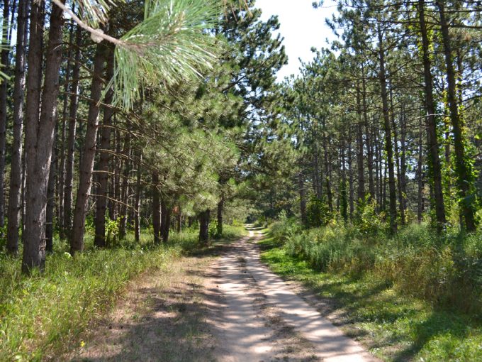 view of a hiking trail at Stand Rock Campground