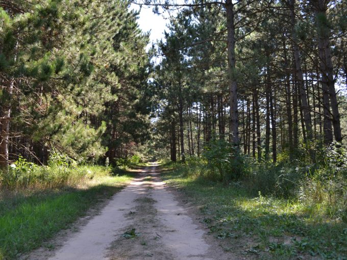 view of a hiking trail at Stand Rock Campground