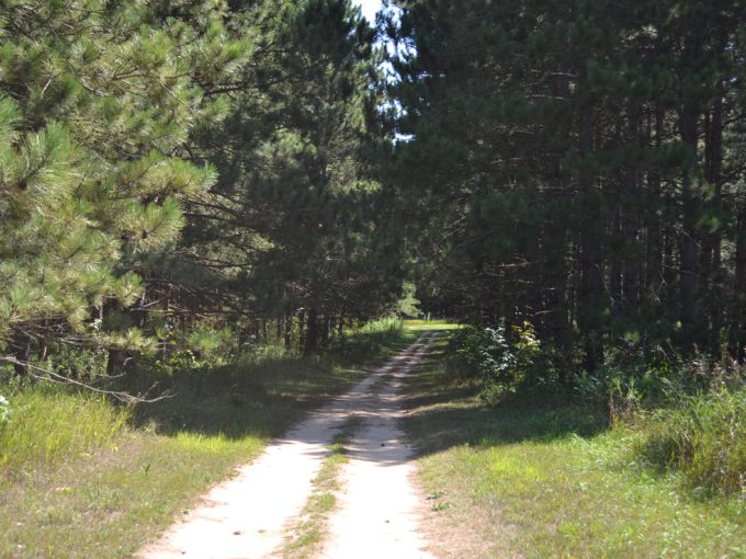 view of a hiking trail at Stand Rock Campground