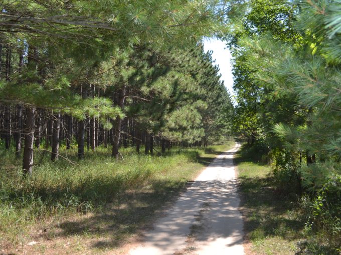 view of a hiking trail at Stand Rock Campground