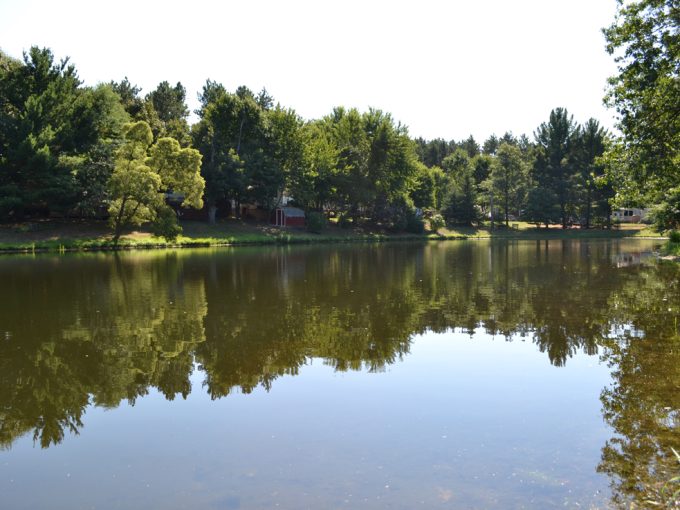 Picturesque view of the pond, trees and RV sites at Stand Rock Campground