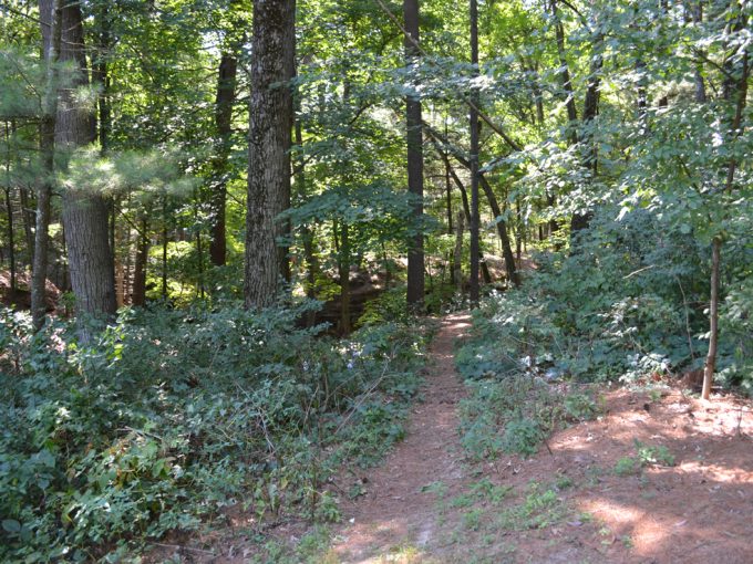 view of a hiking trail at Stand Rock Campground