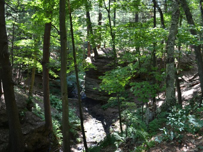 view of a hiking trail at Stand Rock Campground