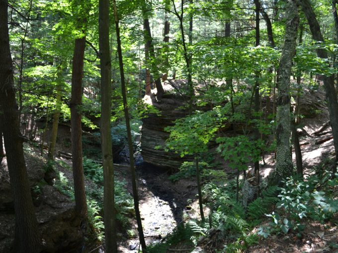 view of a hiking trail at Stand Rock Campground