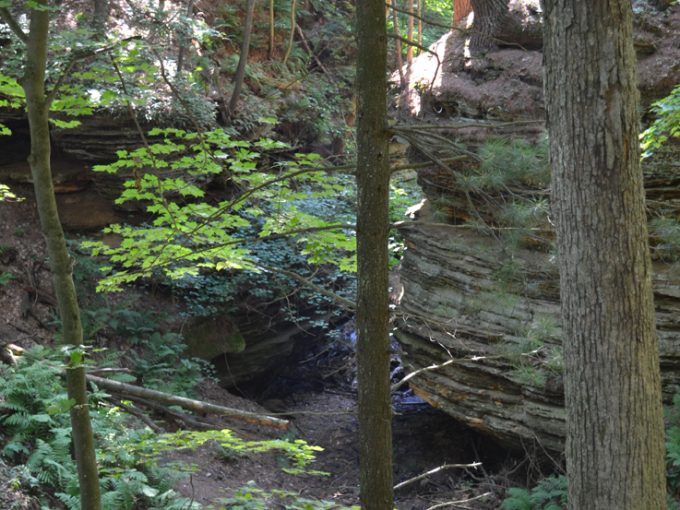 view of a hiking trail at Stand Rock Campground